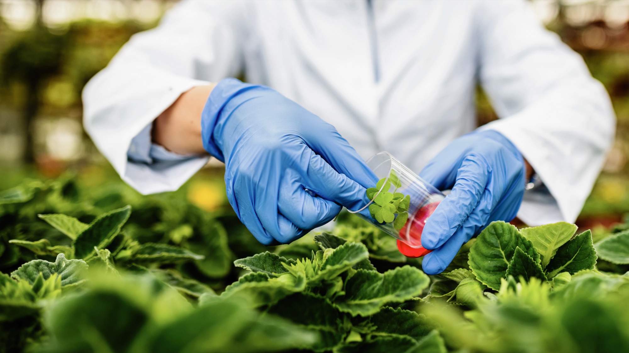 Agroindustria y procesos